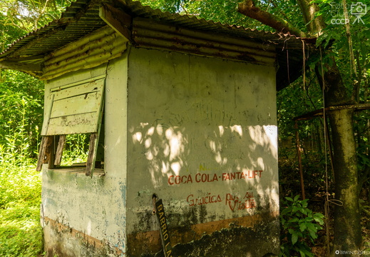 DSC1849