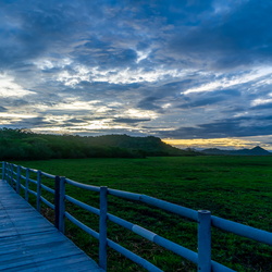 Parque Nacional Palo Verde - Mayo 2022